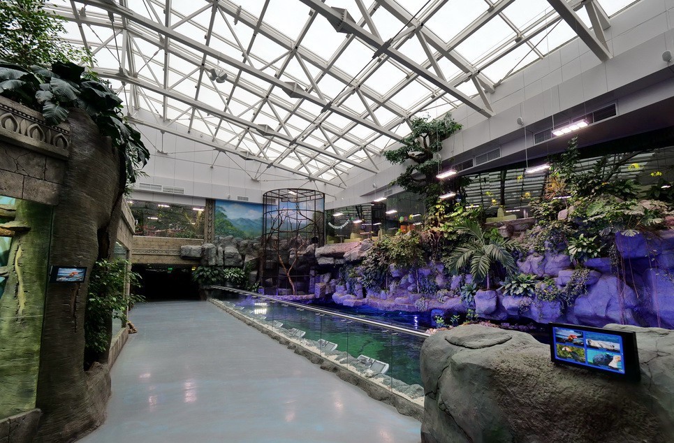 Сити холл аквариум